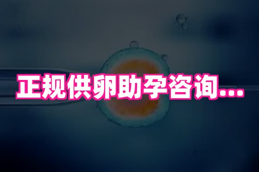 江苏助孕网 1